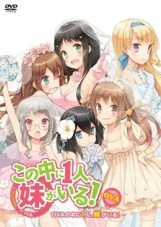 Kono Naka ni Hitori, Imouto ga Iru!: Ani, Imouto, Koibito poster