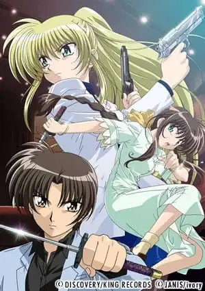 Triangle Heart: Sweet Songs Forever poster