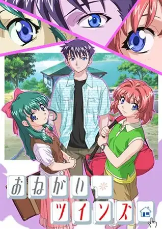 Please Twins! poster