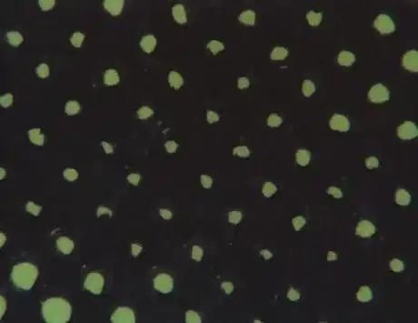 Nice to See You poster