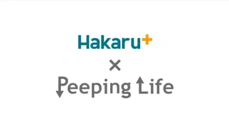 Takemoto Denki x Peeping Life poster