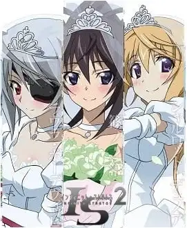 IS: Infinite Stratos 2 - Infinite Wedding poster