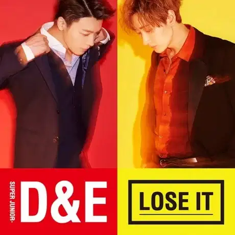 LOSE IT poster