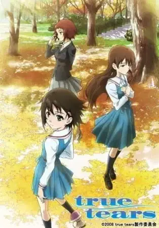 True Tears Recap poster