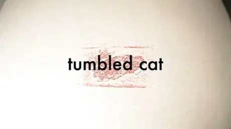 Tumbled Cat poster