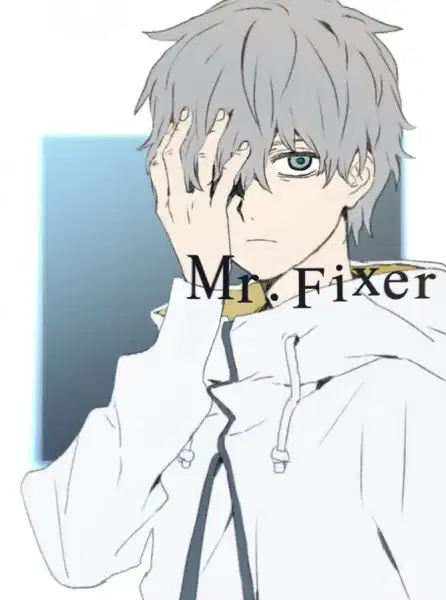 Mr. Fixer poster