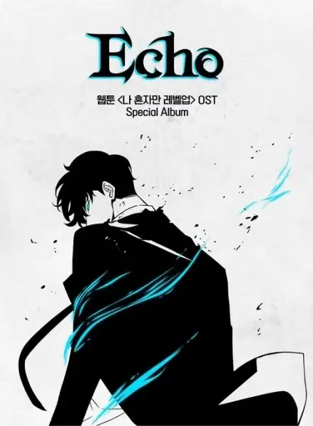 Echo poster