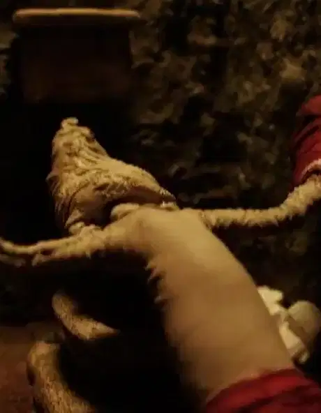 Organic Circle poster