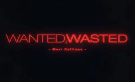 Wanted, Wasted poster
