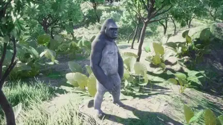 Nagisa no Brazilian poster