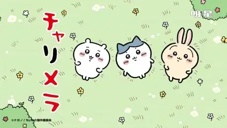 Charumera x Chiikawa poster