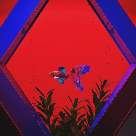 Insight poster