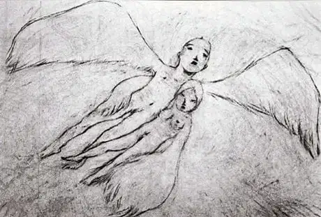 A Feather Stare at the Dark poster