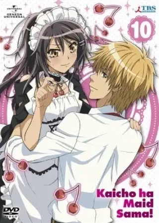 Maid Sama!: It's an Extra! poster
