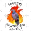 lol's avatar