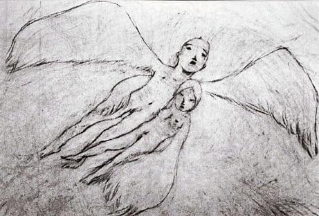 A Feather Stare at the Dark