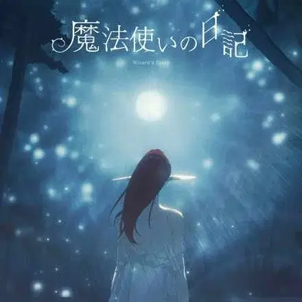 Wizard's Diary